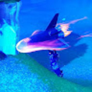 Meet your Posher, Brycen